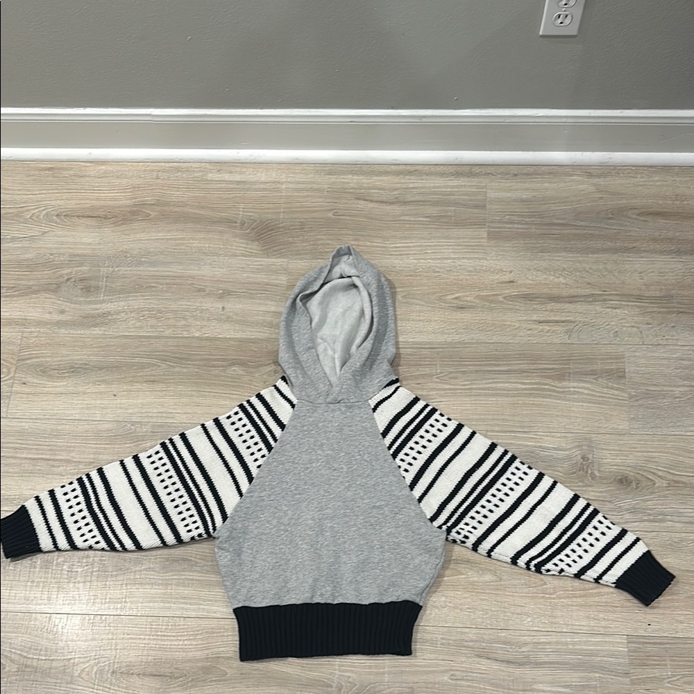 Urban Outfitters Striped Sleeve Gray Hoodie